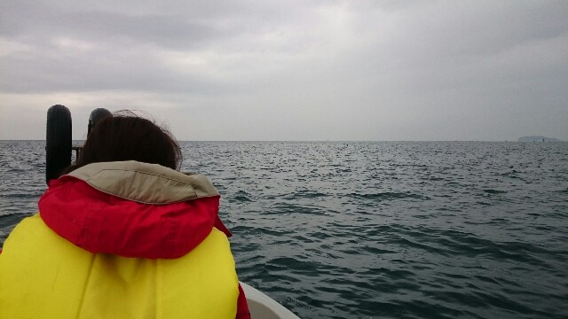 f:id:t1000zawa:20181104220611j:image