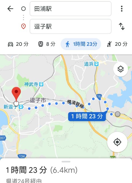 f:id:t1000zawa:20190613124553j:image