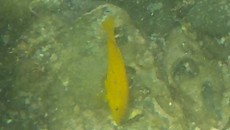 f:id:t1000zawa:20190803115021j:plain