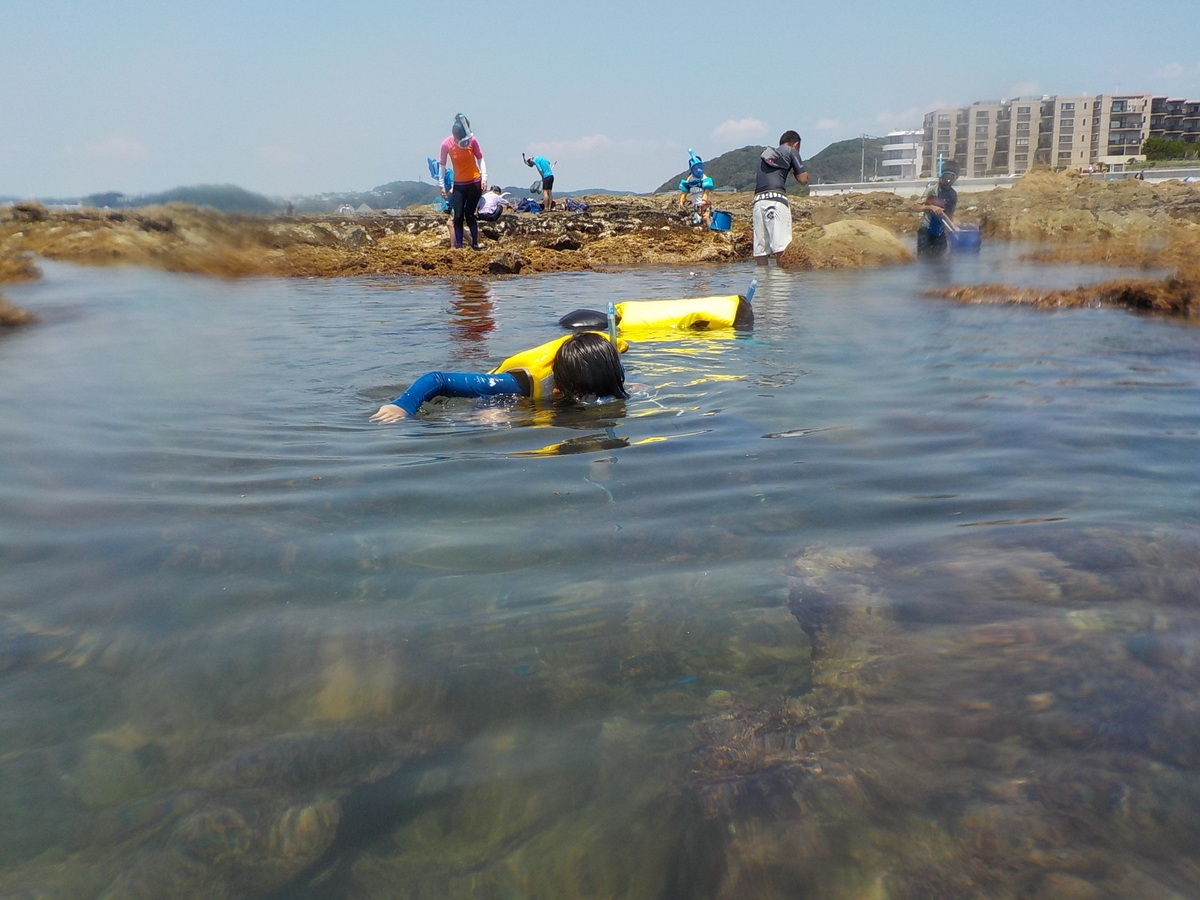 f:id:t1000zawa:20190803122309j:plain