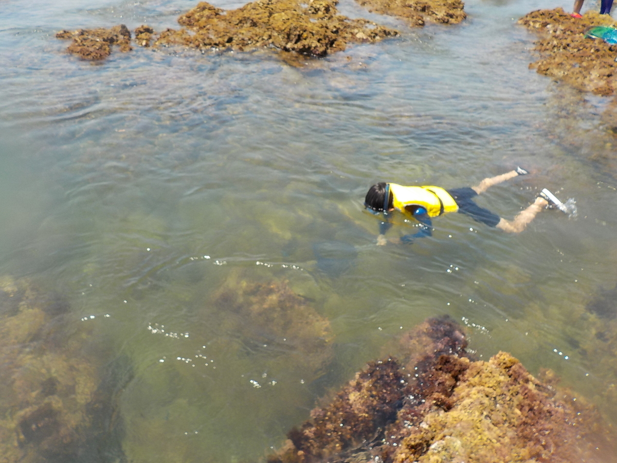 f:id:t1000zawa:20190803123157j:plain