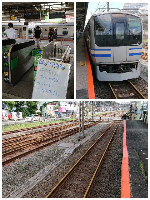 f:id:t1000zawa:20190911065222j:image f:id:t1000zawa:20190911065222j:image