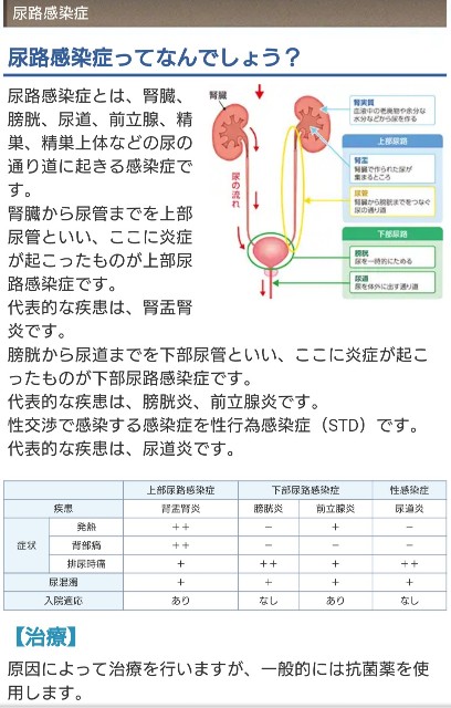 f:id:t1000zawa:20191206091247j:image f:id:t1000zawa:20191206091247j:image