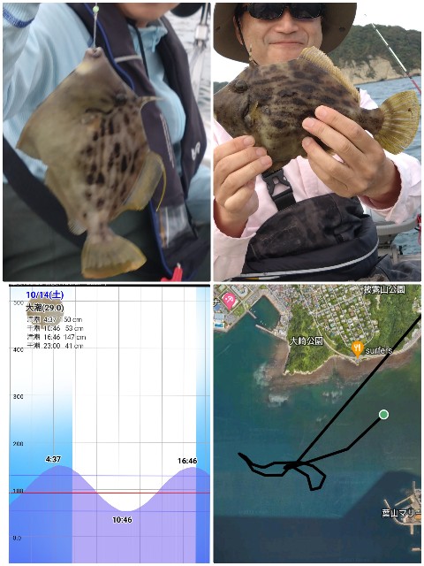 f:id:t1000zawa:20231014223418j:image