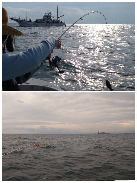 f:id:t1000zawa:20231014223423j:image