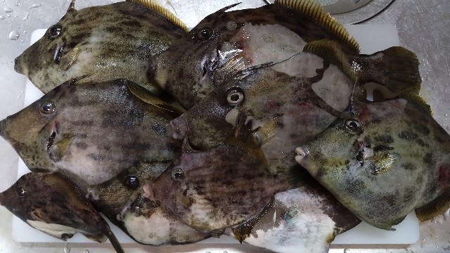 f:id:t1000zawa:20231014223430j:image