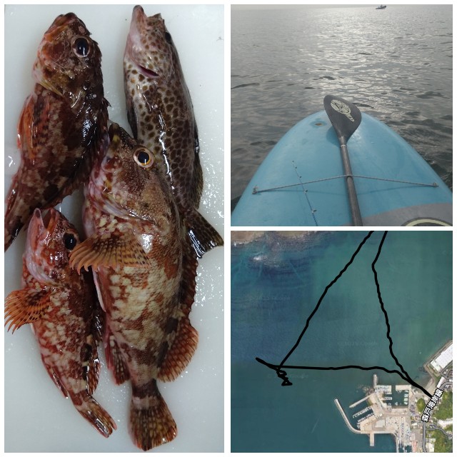 f:id:t1000zawa:20250915200217j:image