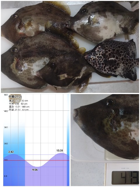 f:id:t1000zawa:20251020132114j:image