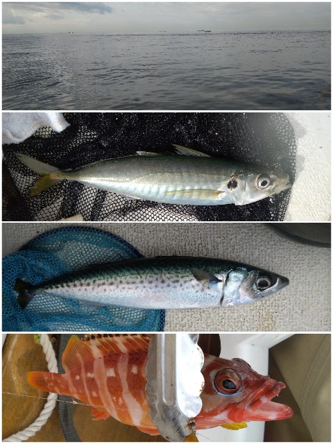 f:id:t1000zawa:20251021154855j:image