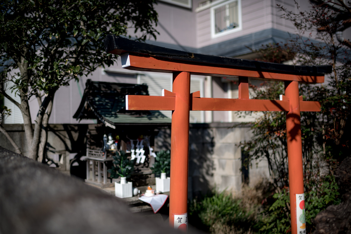 NIKON Z6 × TAMRON SP 35mm F/1.8 Di VC USD Vol.1 - Green Room