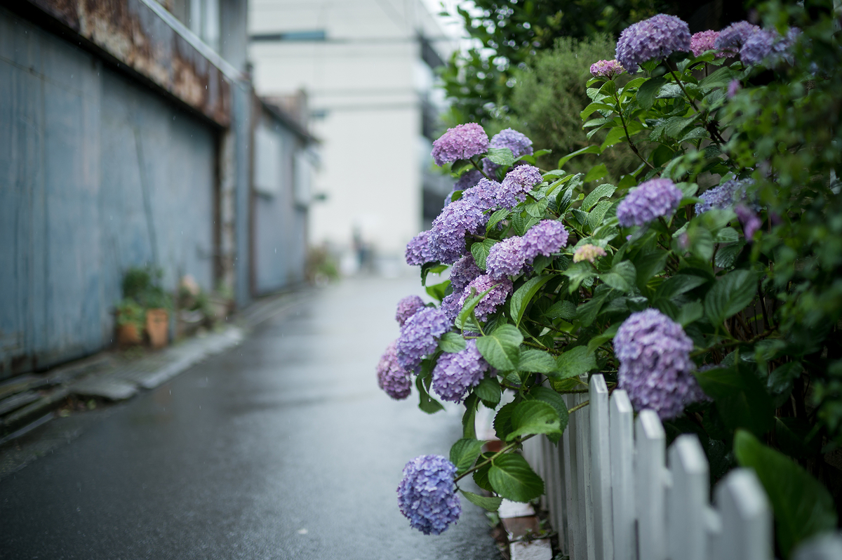 f:id:t185:20200614174939j:plain f:id:t185:20200614174939j:plain