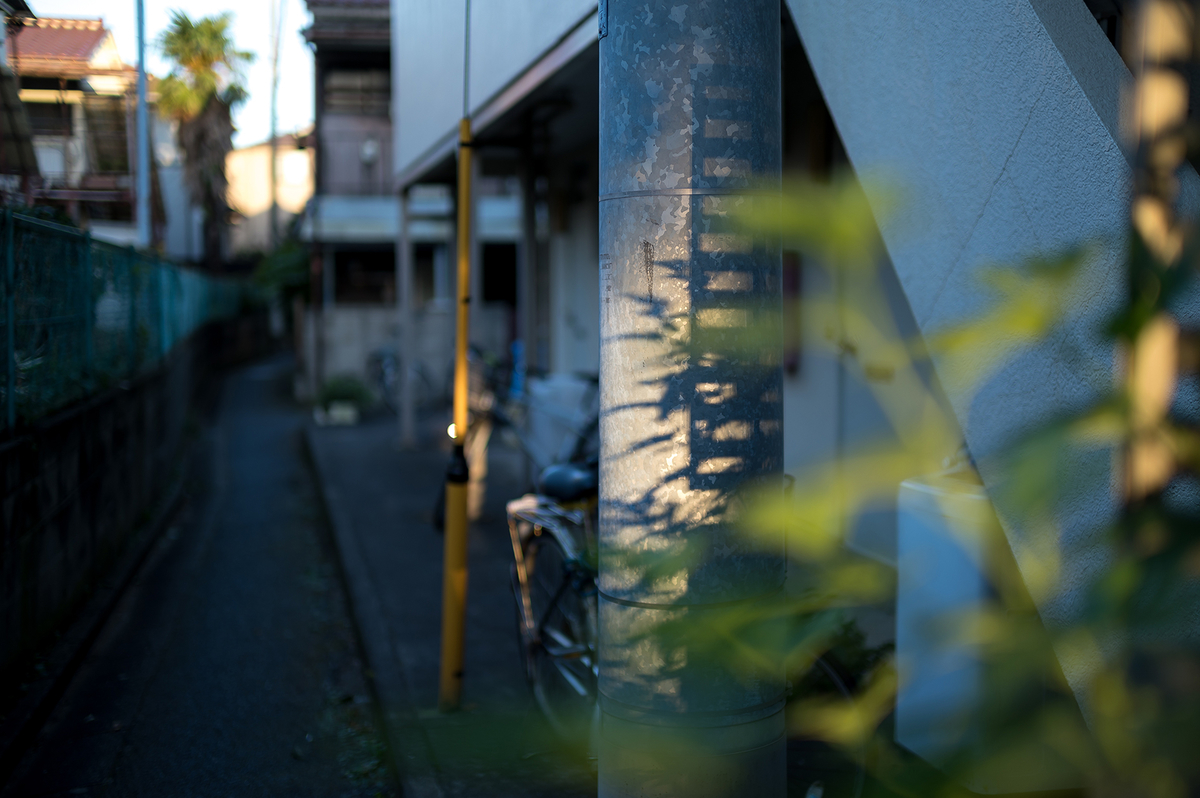 f:id:t185:20200812172727j:plain f:id:t185:20200812172727j:plain
