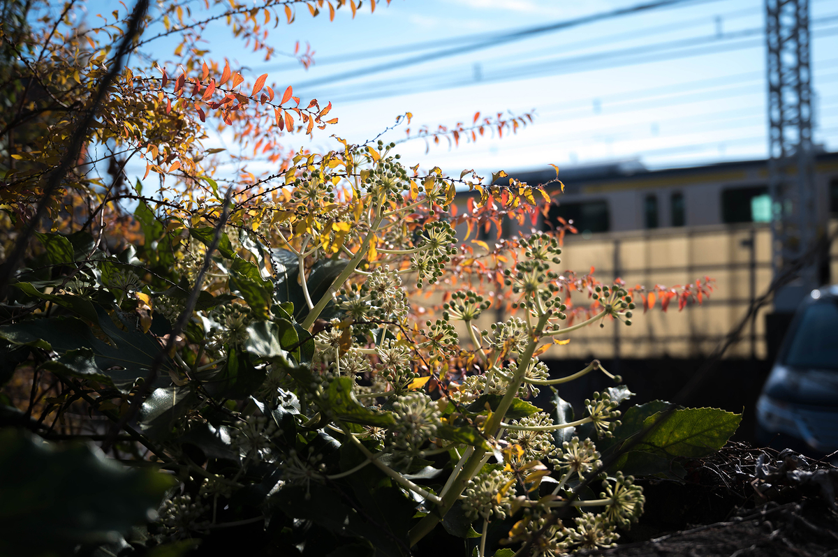 f:id:t185:20201231155912j:plain