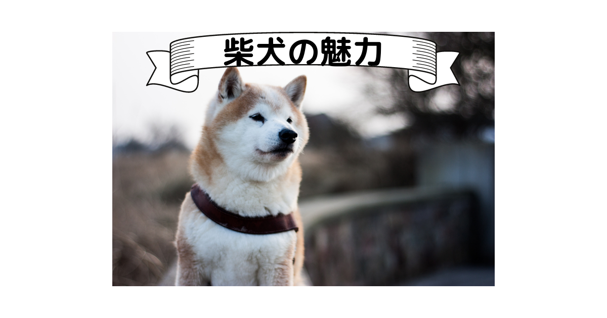 f:id:t2-54321:20210517182416p:plain