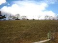 [馬]鞍ヶ池公園(愛知県豊田市)にて。