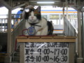 [鉄道][猫]和歌山電鉄　貴志駅。たま駅長。