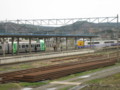 [鉄道]東北本線・大湊線、野辺地駅。下りの白鳥と上りのスーパー白鳥