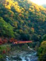 [鉄道][京都]トロッコ列車