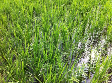 f:id:t2k:20110729190422j:image