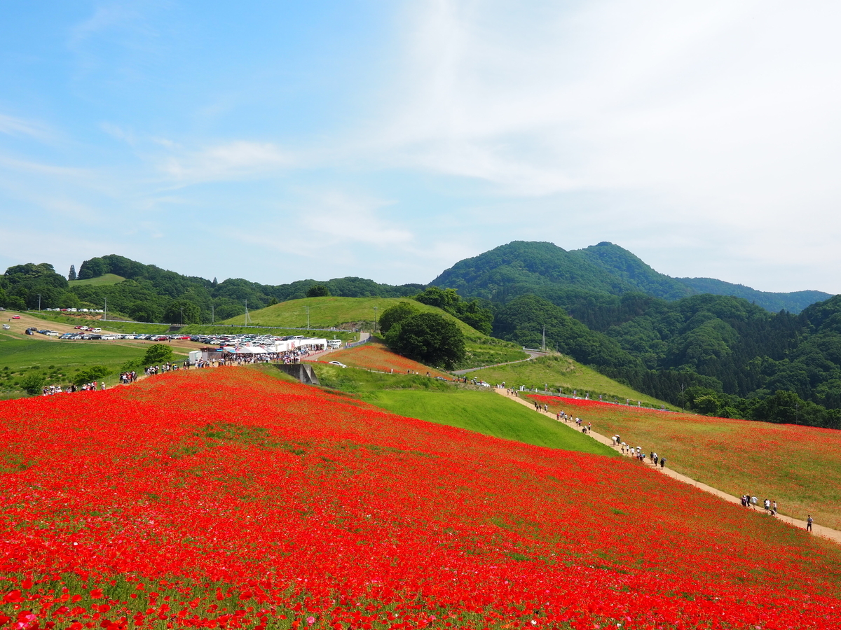 f:id:t2south8spice2o:20190601185804j:plain