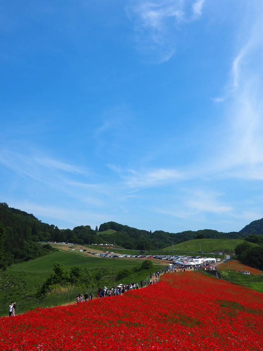 f:id:t2south8spice2o:20190601185830j:plain