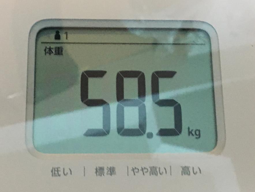 f:id:t41j:20190324161748j:plain f:id:t41j:20190324161748j:plain