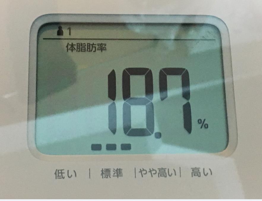f:id:t41j:20190324161750j:plain f:id:t41j:20190324161750j:plain