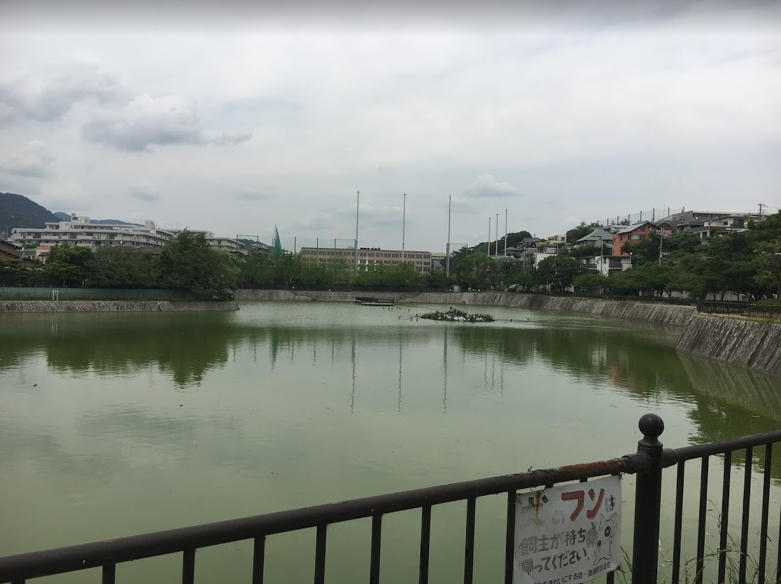 f:id:t41j:20190709021651j:plain f:id:t41j:20190709021651j:plain