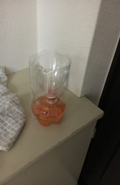 f:id:t41j:20190713000002j:plain f:id:t41j:20190713000002j:plain
