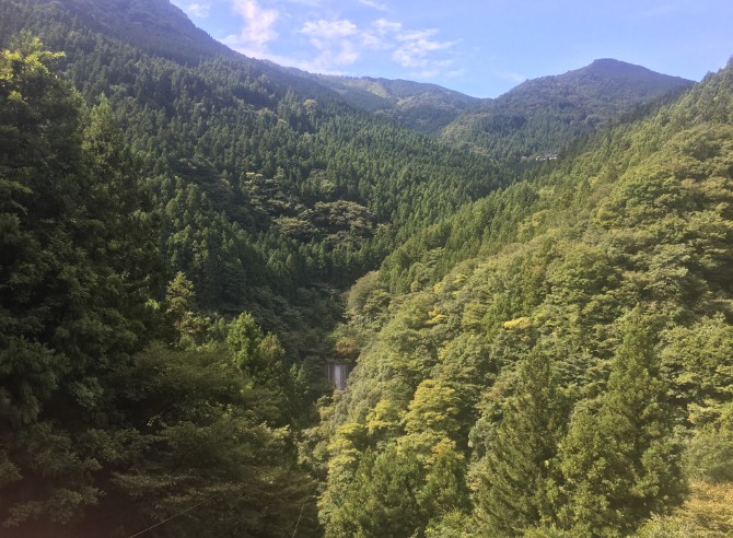 f:id:t41j:20190904184906j:plain f:id:t41j:20190904184906j:plain