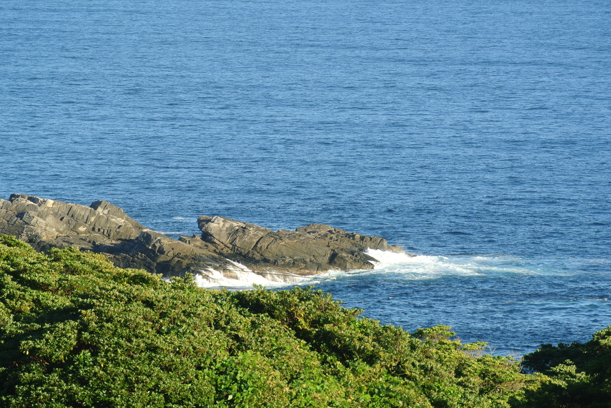 四国旅行記 その⑤（愛南町、足摺岬） - t49takachan's blog