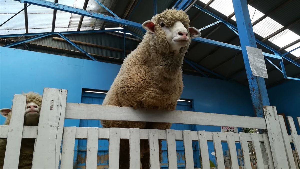 f:id:t4o0m0:20190511235435j:plain f:id:t4o0m0:20190511235435j:plain