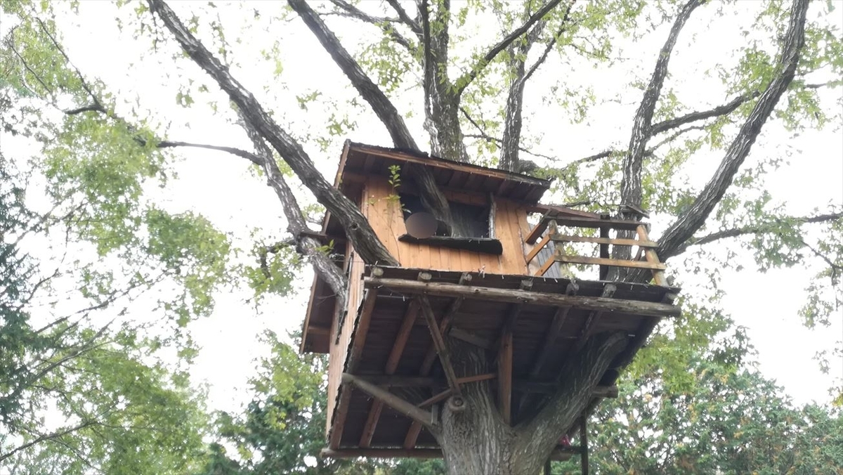 f:id:t4o0m0:20190511235449j:plain f:id:t4o0m0:20190511235449j:plain