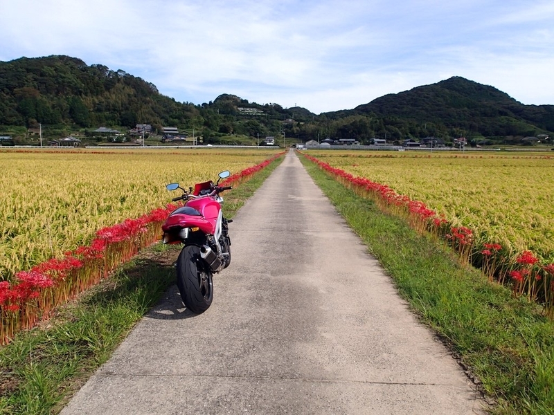 f:id:t595bb1:20200930075156j:plain f:id:t595bb1:20200930075156j:plain