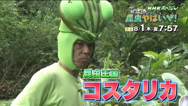 20190802 イベント企画案 モルフォの群れ 邦秋の ギャラリー 個と場