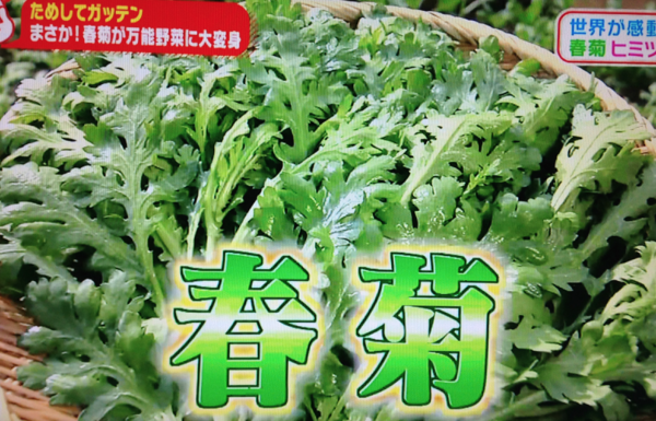 f:id:t_aki:20150516073117p:plain:h130