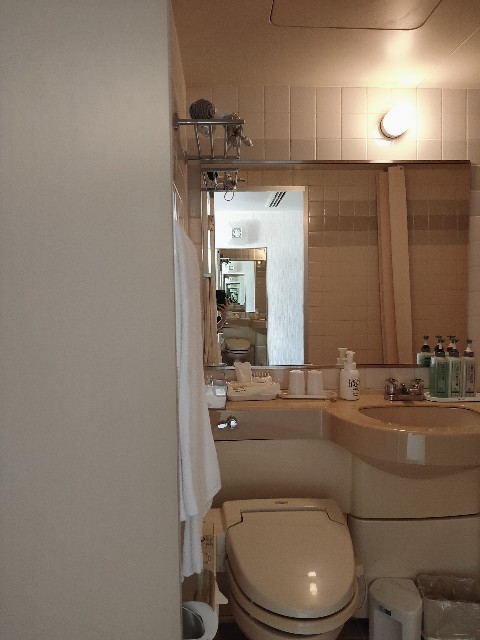 f:id:t_cello:20211211222642j:plain