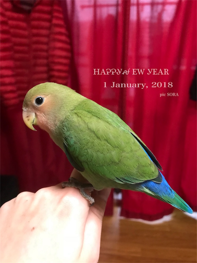 f:id:t_h19820915:20180104090308j:image