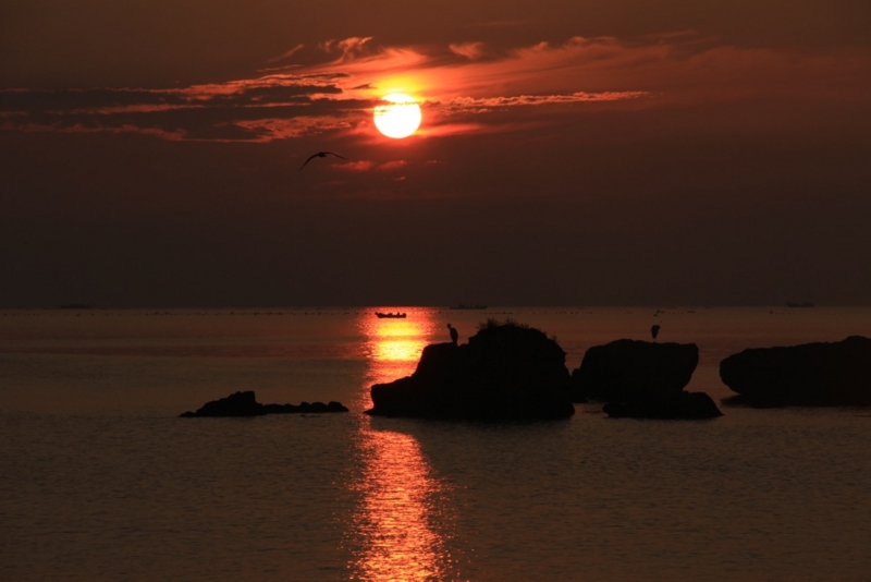 f:id:t_hatanaka:20120726050627j:image f:id:t_hatanaka:20120726050627j:image