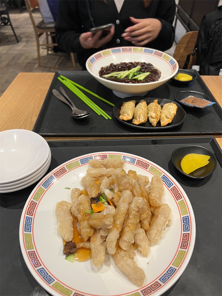 f:id:t_inc1222:20230615225450j:image