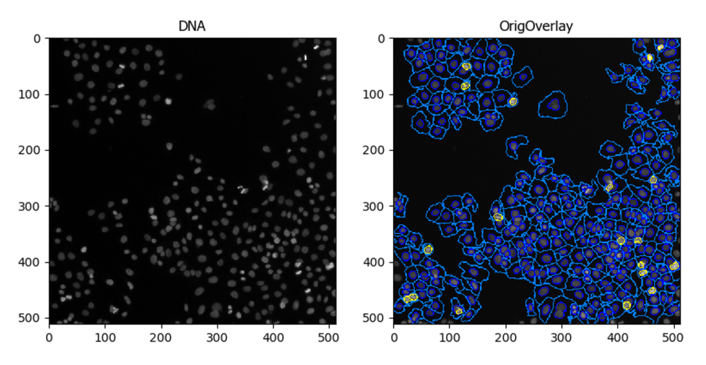 f:id:t_kahi:20190104232847p:plain f:id:t_kahi:20190104232847p:plain