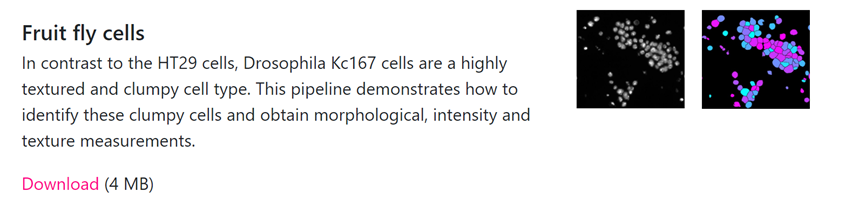 f:id:t_kahi:20190917115339p:plain f:id:t_kahi:20190917115339p:plain
