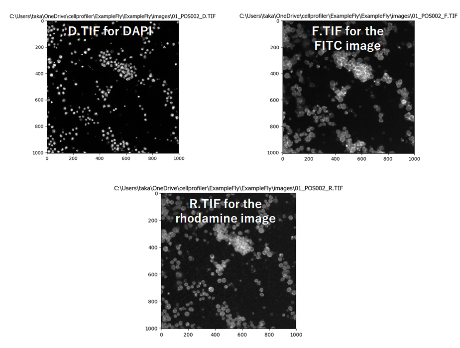 f:id:t_kahi:20190919111549p:plain f:id:t_kahi:20190919111549p:plain