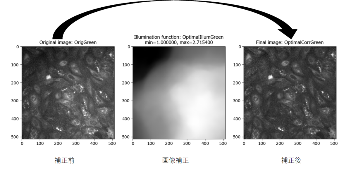 f:id:t_kahi:20200124181523p:plain