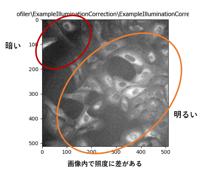 f:id:t_kahi:20200124185317p:plain