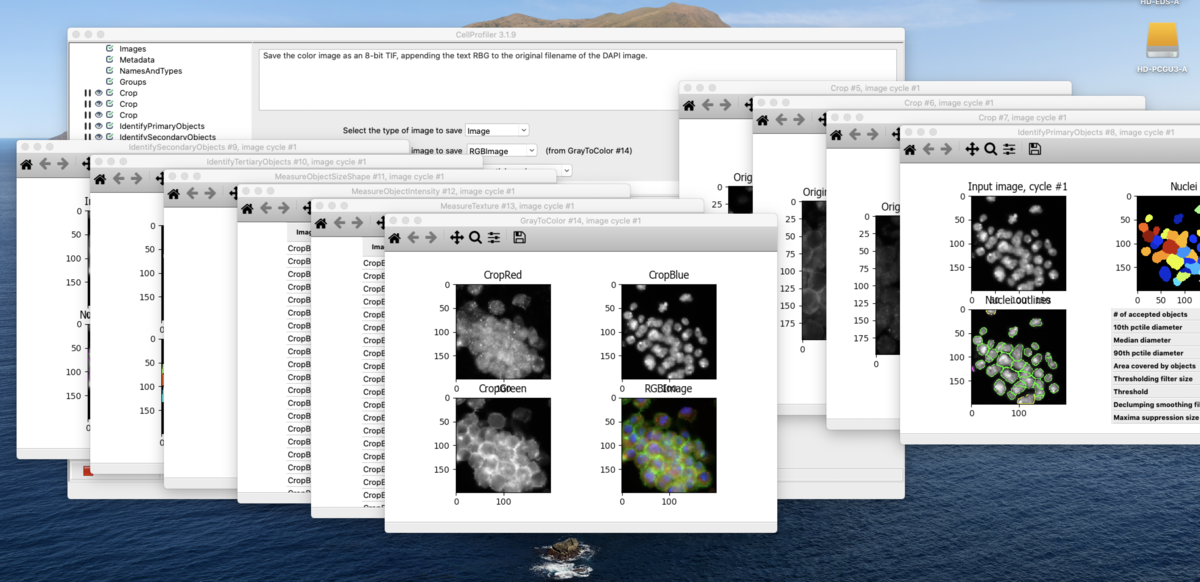 cellprofiler python cellprofiler python