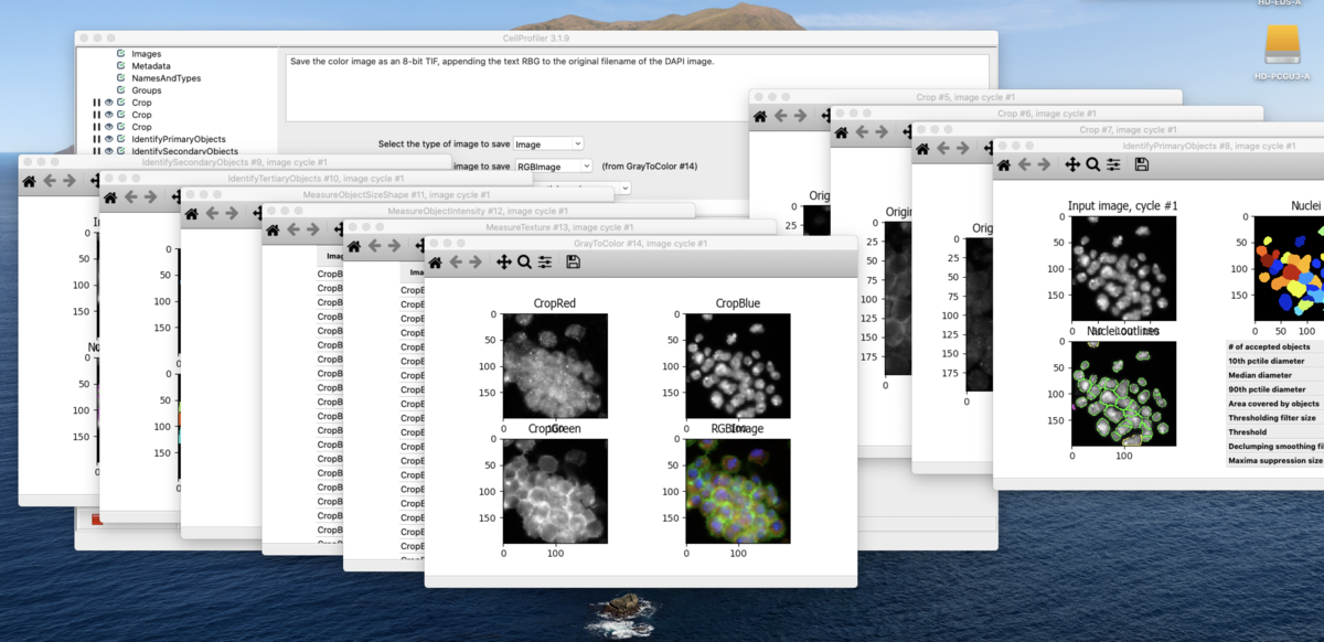 install cellprofiler conda