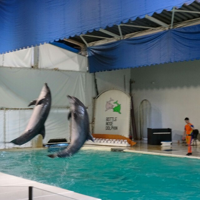 f:id:t_kato:20160802232340j:image