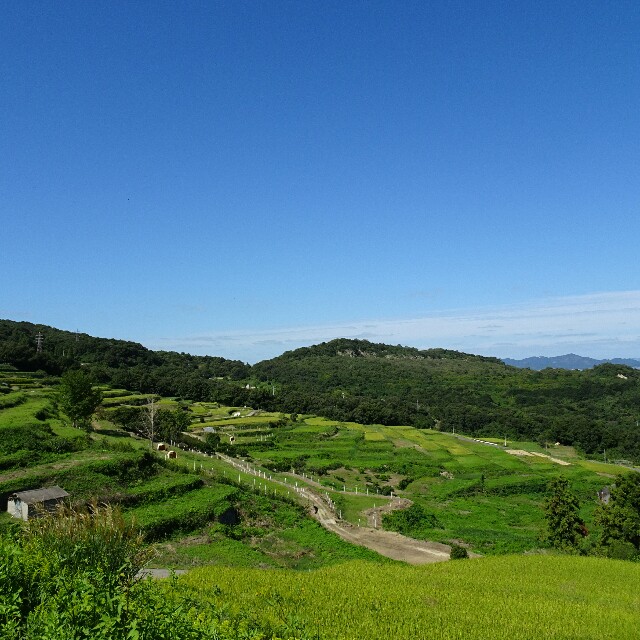 f:id:t_kato:20161010191511j:image