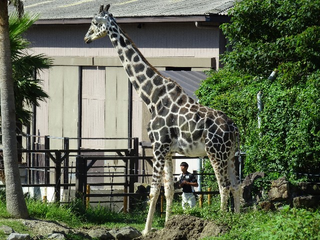 f:id:t_kato:20200923231535j:plain